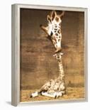 Giraffe, First Kiss-Ron D'Raine-Art Print