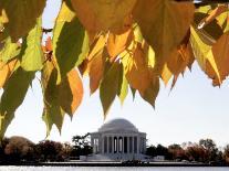 The Washington Monument Surrounded by the Brilliant Colored Leaves-Ron Edmonds-Stretched Canvas