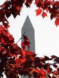 The Washington Monument Surrounded by the Brilliant Colored Leaves-Ron Edmonds-Photographic Print