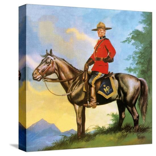Stretched Canvas Print, , large