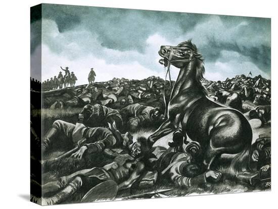 Stretched Canvas Print, , large