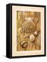 Framed Canvas