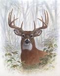 Deer Buck Portrait-Ron Jenkins-Art Print