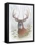 Framed Canvas