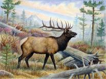 The Mighty Moose-Ron Jenkins-Art Print