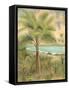 Framed Canvas
