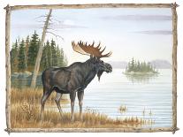 Deer Buck Portrait-Ron Jenkins-Art Print