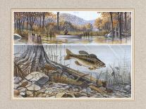 Fishing Gear-Ron Jenkins-Framed Art Print
