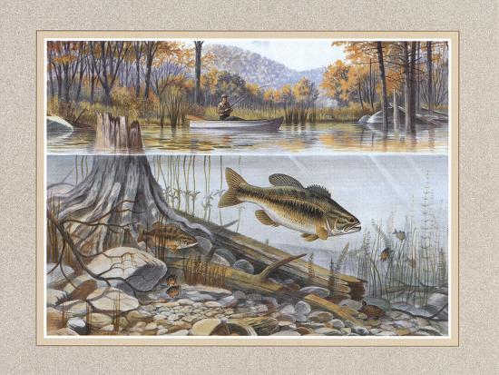 Art Print, , large