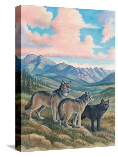 Stretched Canvas Print, , large