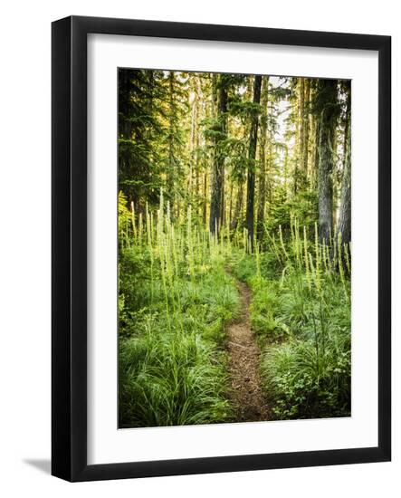 Photographic Print, , large