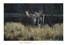 Autumn Foraging-Ron Parker-Art Print