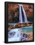 Essential Black