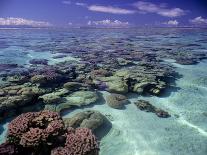 Tropical Island, Bora Bora-Ron Whitby Photography-Framed Stretched Canvas