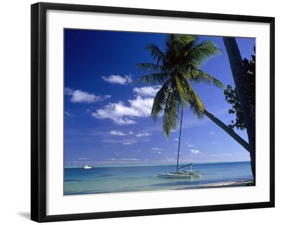 Premium Photographic Print, , large