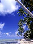 Tropical Island, Bora Bora-Ron Whitby Photography-Stretched Canvas