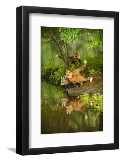 Premium Photographic Print, , large