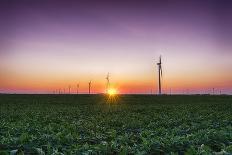 USA, Indiana. Soybean Field and Wind Farm at Sundown-Rona Schwarz-Photographic Print