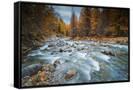 Canvas Black