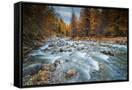 Canvas Black