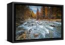 Canvas Black