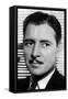 Ronald Colman (1891-195), English Actor, C1930S-C1940S-null-Framed Stretched Canvas