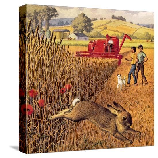 Stretched Canvas Print, , large