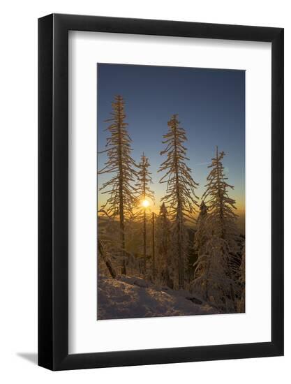 Premium Photographic Print, , large
