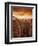 Ronda, Andalucia, Spain-Doug Pearson-Framed Premium Photographic Print