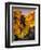 Ronda, Andalucia, Spain-Doug Pearson-Framed Premium Photographic Print