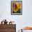 Ronda, Andalucia, Spain-Doug Pearson-Framed Photographic Print displayed on a wall