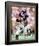Ronde Barber-null-Framed Photographic Print