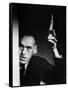 Rondo Hatton-null-Framed Stretched Canvas