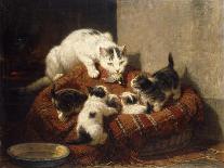 A Feathered Gift-Ronner-Knip Henriette-Stretched Canvas