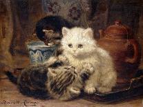 A Feathered Gift-Ronner-Knip Henriette-Stretched Canvas