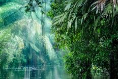 Tortuguero National Park, Rainforest, Costa Rica, Caribbean Coast, Central America-ronnybas-Photographic Print