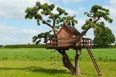 Beautiful Creative Tree House-Rony Zmiri-Photographic Print