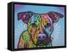 Roo-Dean Russo-Framed Stretched Canvas