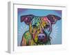 Roo-Dean Russo-Framed Giclee Print