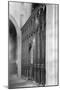 Rood Screen, St. Agnes Church, Cawston-Frederick Henry Evans-Mounted Photographic Print