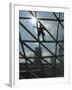 Roof Cleaning, Warsaw, Poland-null-Framed Photographic Print