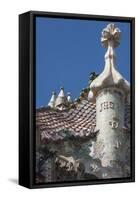 Roof Detail of Casa Batllo-James Emmerson-Framed Stretched Canvas