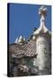 Roof Detail of Casa Batllo-James Emmerson-Stretched Canvas