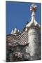 Roof Detail of Casa Batllo-James Emmerson-Mounted Photographic Print