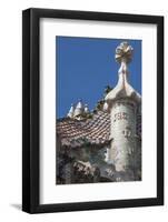 Roof Detail of Casa Batllo-James Emmerson-Framed Photographic Print