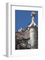 Roof Detail of Casa Batllo-James Emmerson-Framed Photographic Print