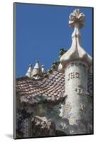 Roof Detail of Casa Batllo-James Emmerson-Mounted Photographic Print