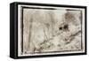 Roof in the Jungle,Guatemala-Theo Westenberger-Framed Stretched Canvas