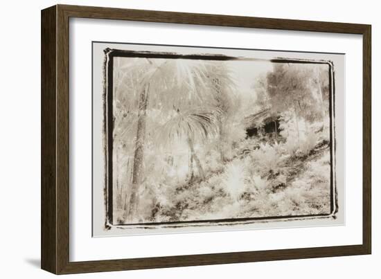 Roof in the Jungle,Guatemala-Theo Westenberger-Framed Photographic Print