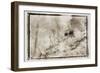 Roof in the Jungle,Guatemala-Theo Westenberger-Framed Photographic Print